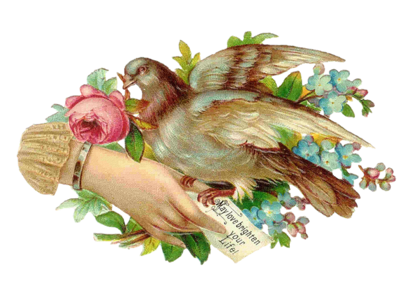 Винтажные птички на белом фоне