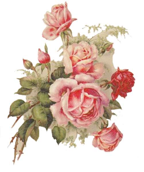 Винтажные розы на прозрачном фоне