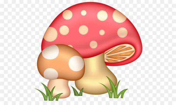 Грибочки для детей