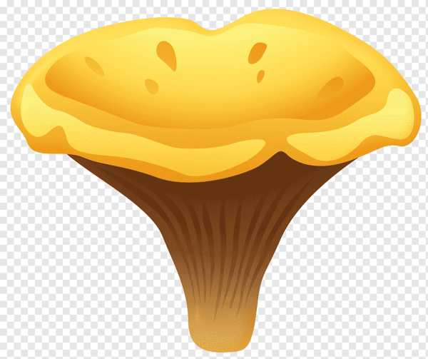 Мухомор для дошкольников