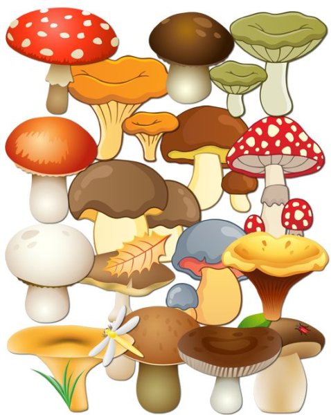 Мухоморы мультяшные