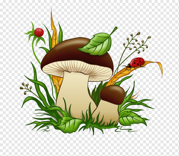 Грибочки мультяшные