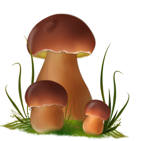 Мультяшные гробы