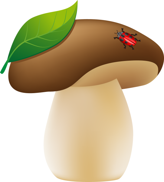 Грибочки для детей