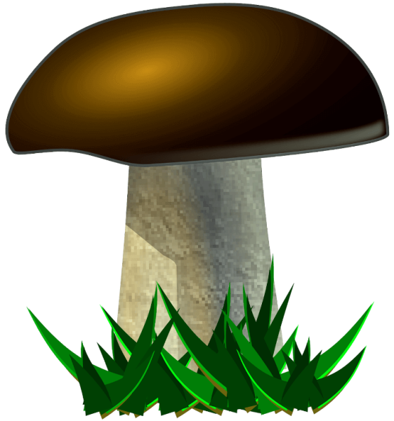 Цветной грибок для детей