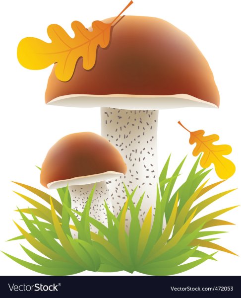 Грибочки малышам