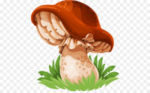 Нарисовать гриб