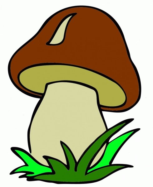 Грибы Векторная Графика