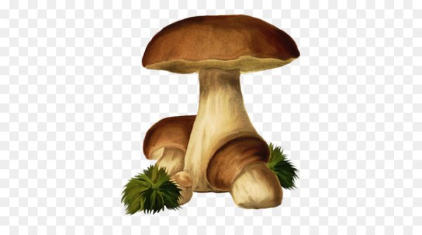 Весёлый грибочек