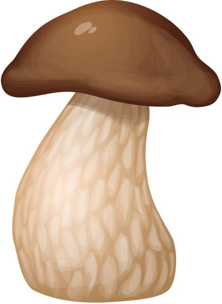 Метки детский сад гриб