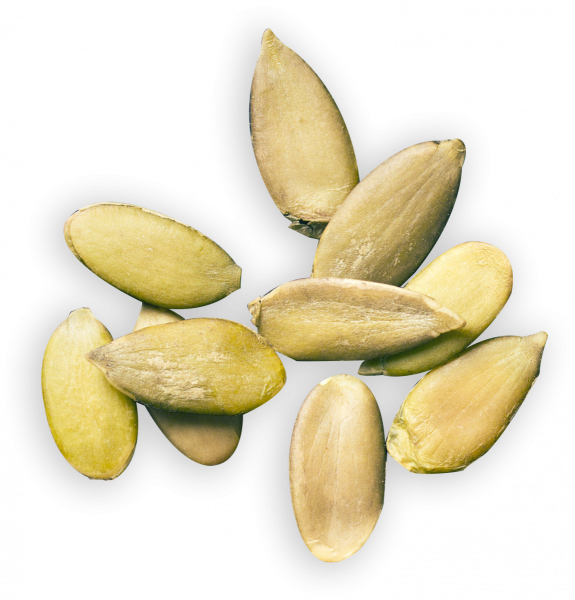 Семечка тыквы