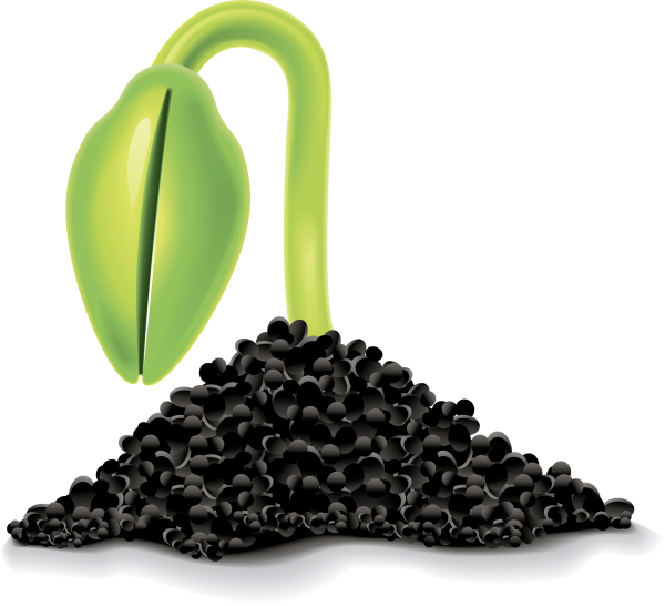 Семена растений клипарт