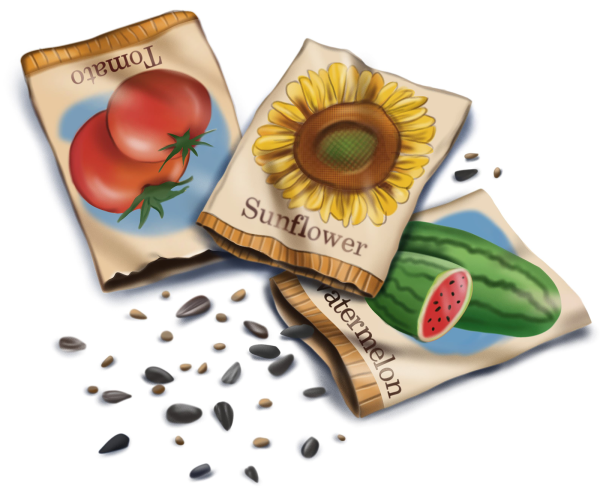 Семена в пакетиках