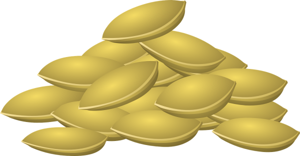 Зернышко вектор