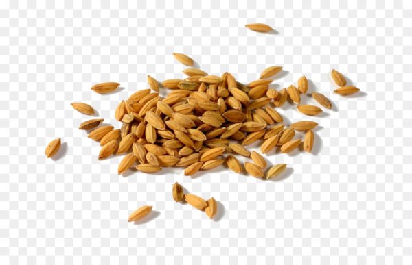 Семена на белом фоне