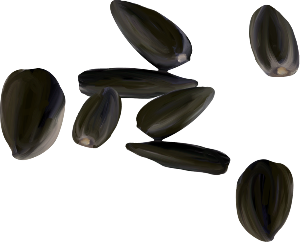 Семечки без фона
