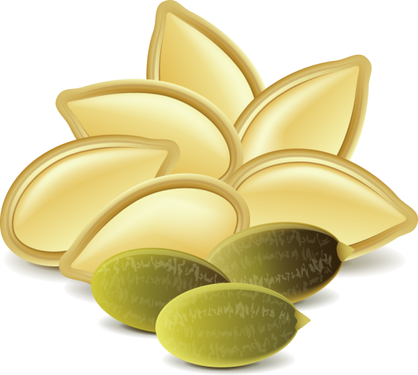 Пиктограмма семена тыквы