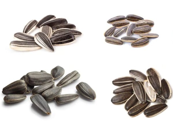 Семечки клипарт