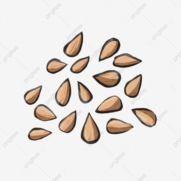 Семена вектор