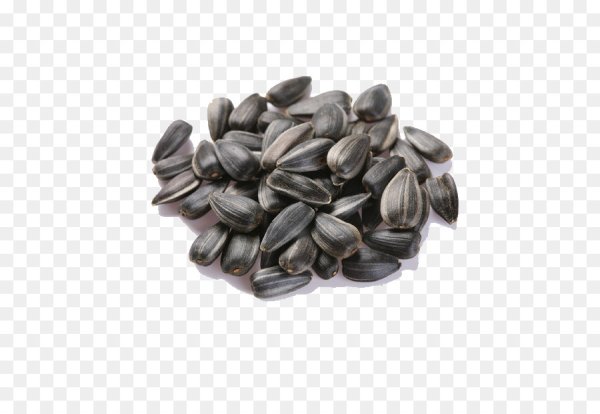 Семечка на белом фоне