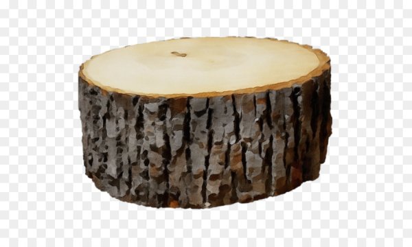 Кусок древесины