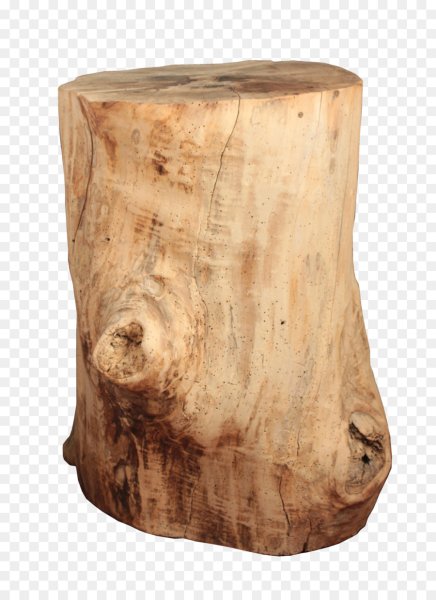 Бревно пенек