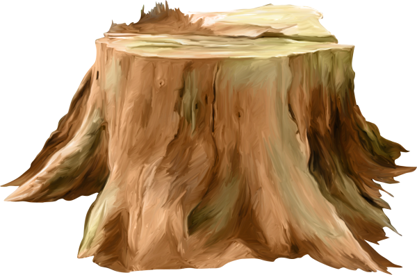 Пенек на белом фоне