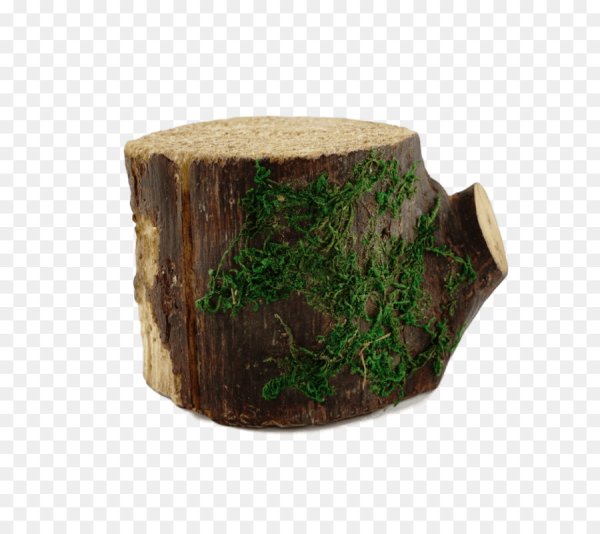 Пеньки на прозрачном фоне