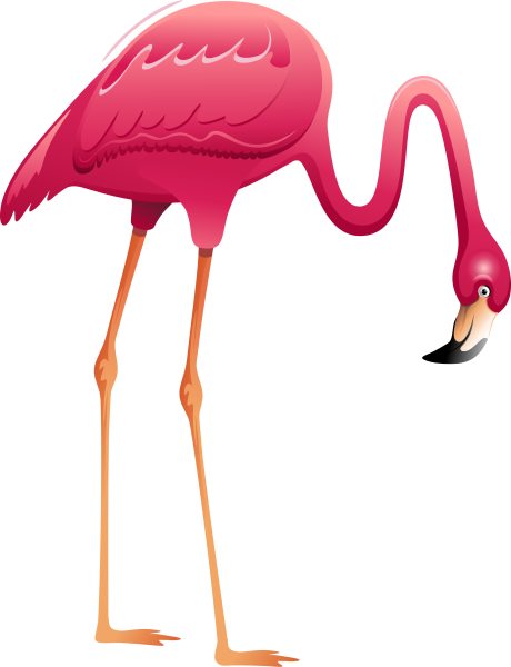Фламинго для детей