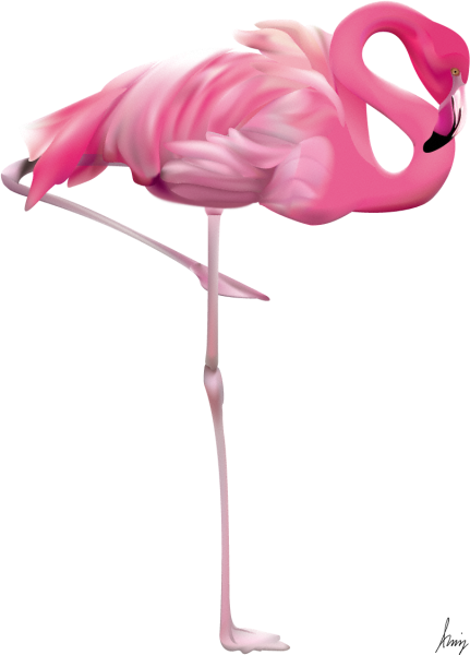 ЭМОДЖИ Фламинго