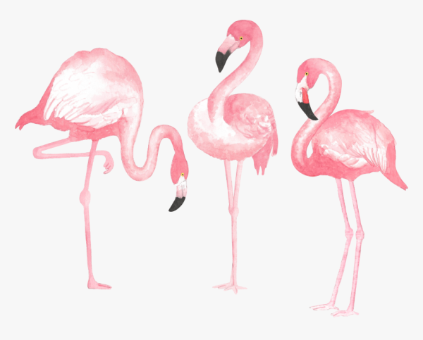 Красный Фламинго