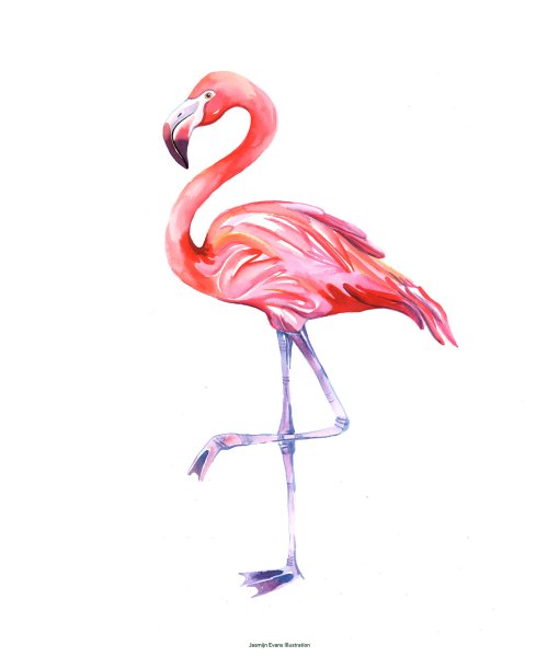 Розовый Фламинго мультяшный