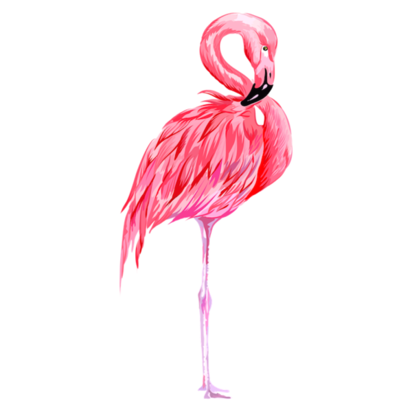 Фламинго Кемерово