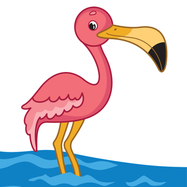 Фламинго на белом фоне