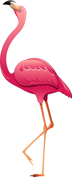 Силуэт Фламинго на прозрачном фоне