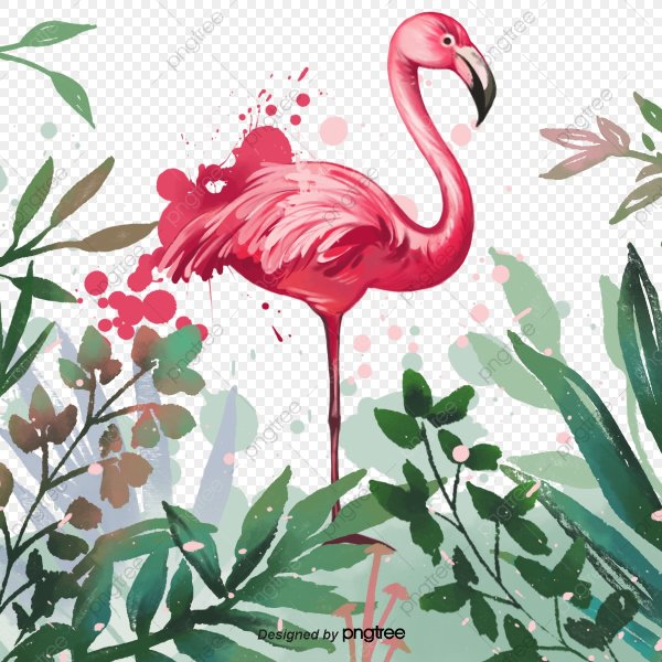 Фламинго иллюстрация вектор