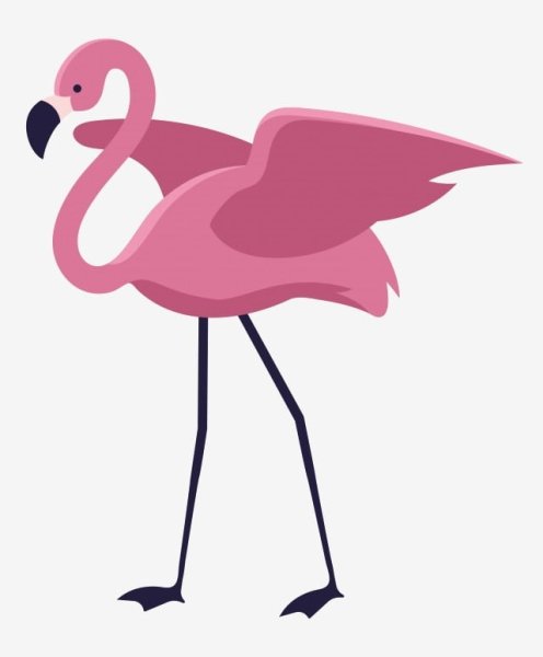 Розовый Фламинго на белом фоне