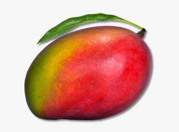 Манго картина