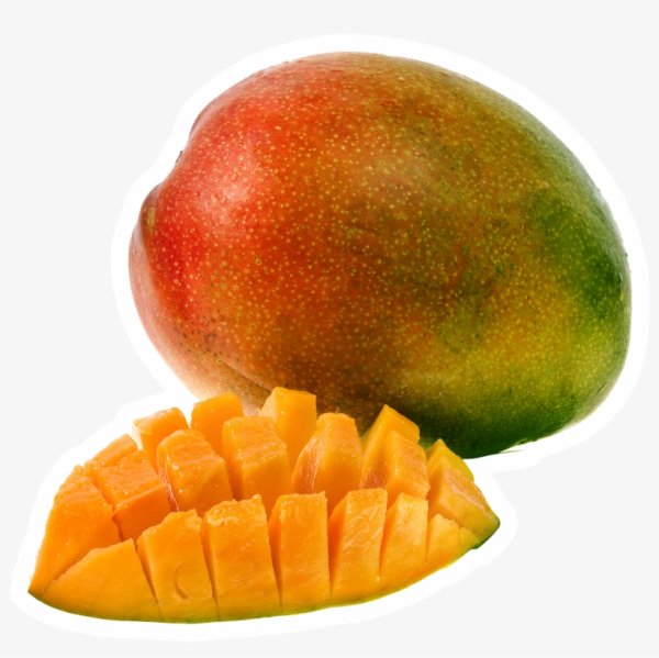 Манго сорт Кейт