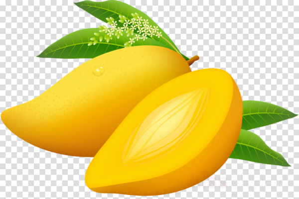 Манго вектор