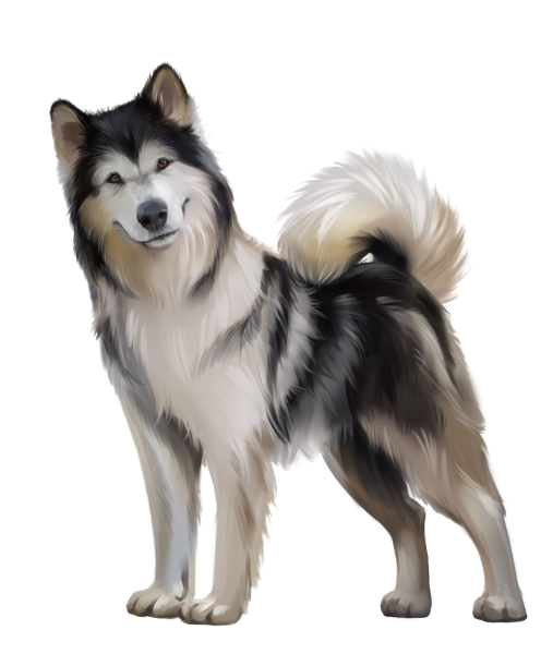 Аляскинский маламут