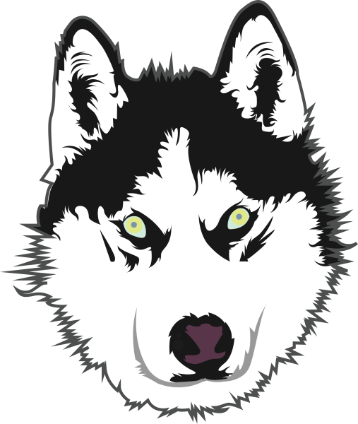 Голова хаски рисунок