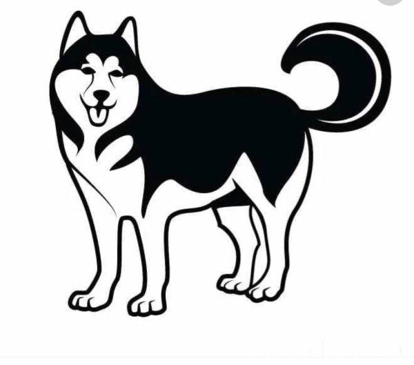 Собачка черно белая