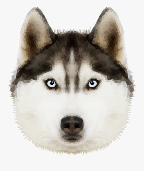 Хаски морда