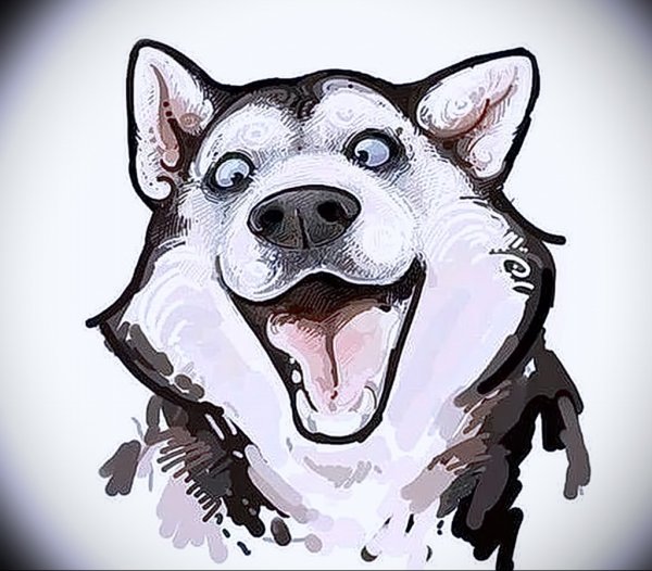 Мем собака хаски