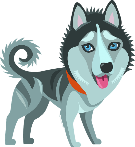 Хаски вектор клипарт