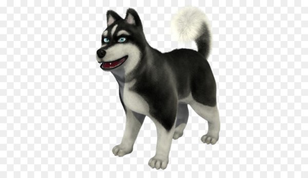 Хаски на прозрачном фоне