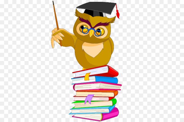 Викторина для старшеклассников картинка