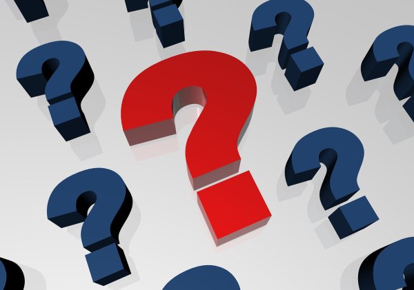 Вопросы с картинками для викторины