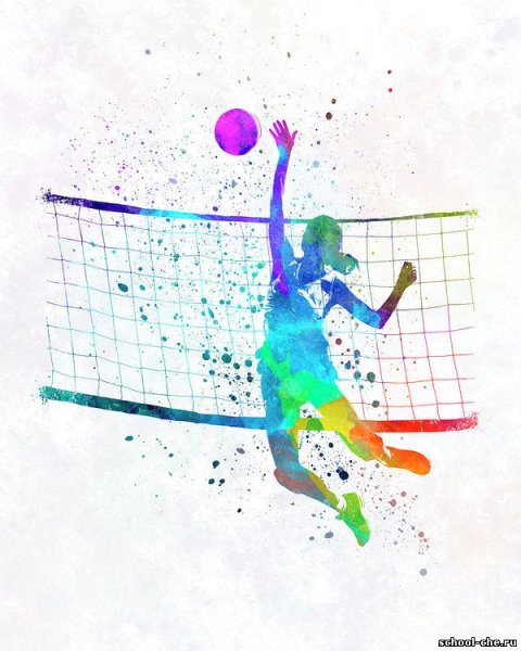 Волейбол картина